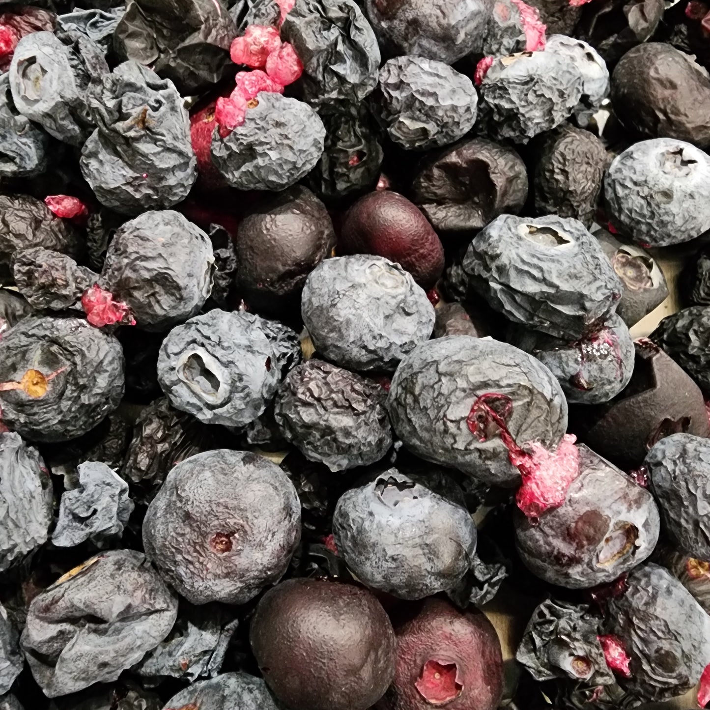 Organic Blueberries Freeze Dried 50g