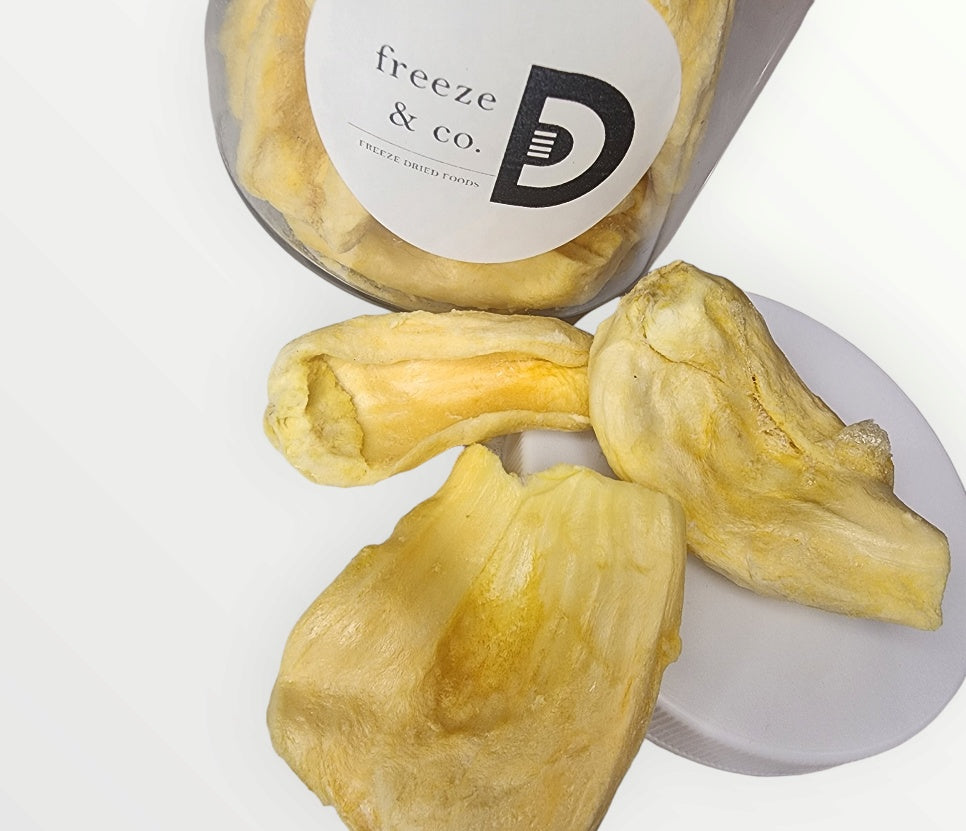 Jackfruit Freeze Dried