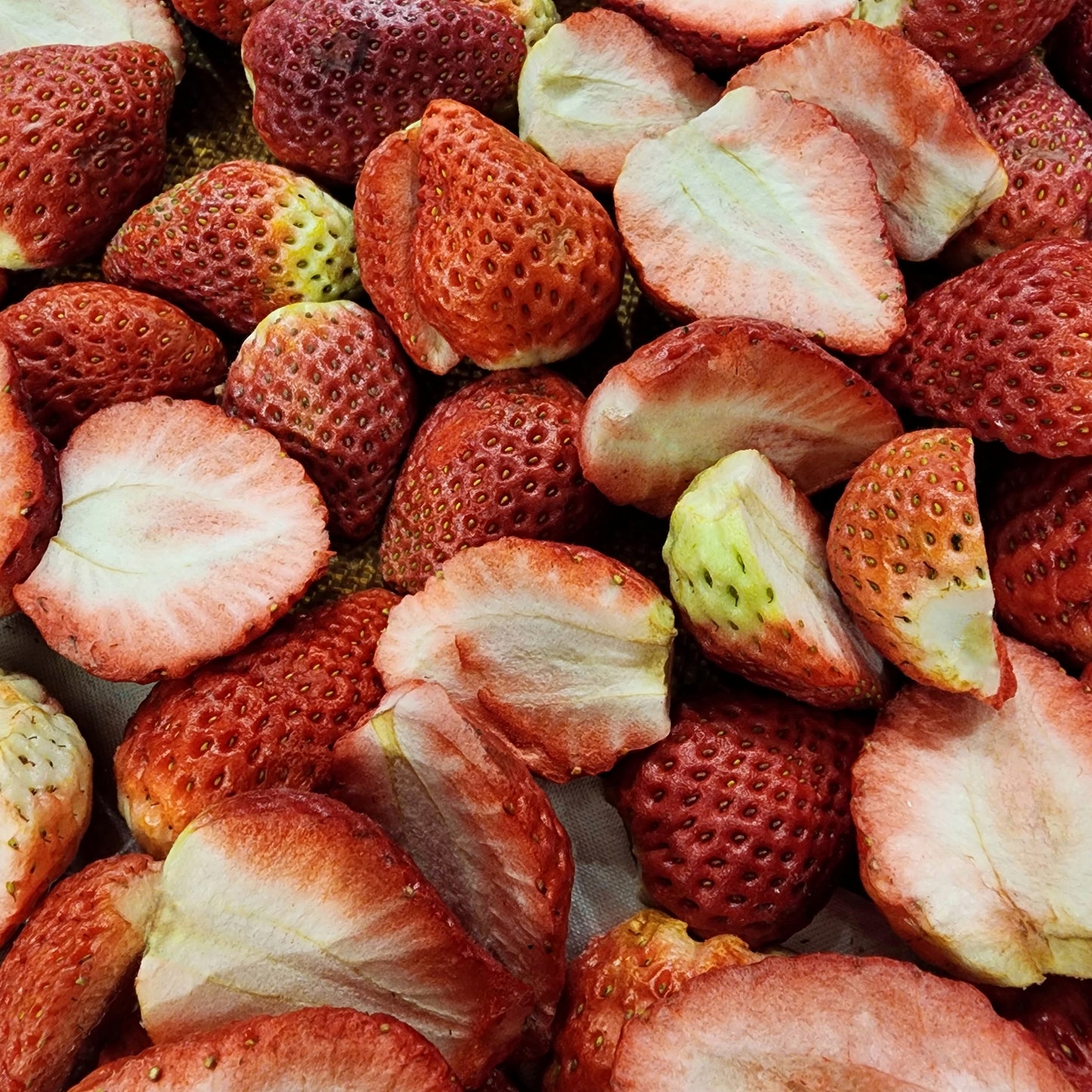Strawberry Freeze Dried 20g